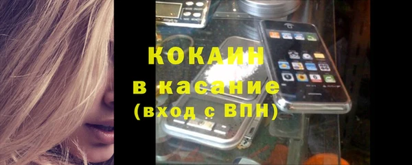твердый Аркадак