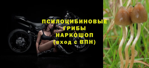 твердый Аркадак