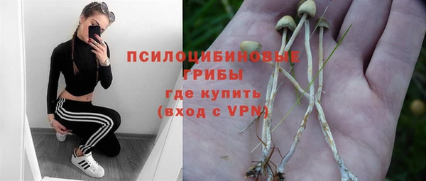 твердый Аркадак