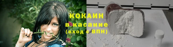 твердый Аркадак