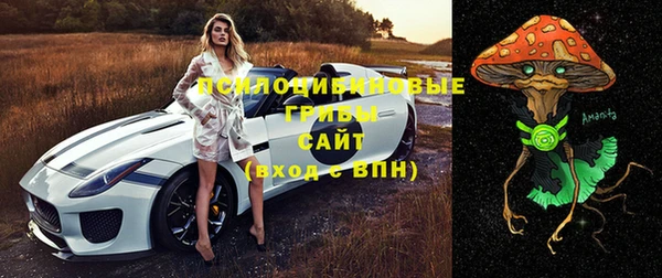 винт Армянск