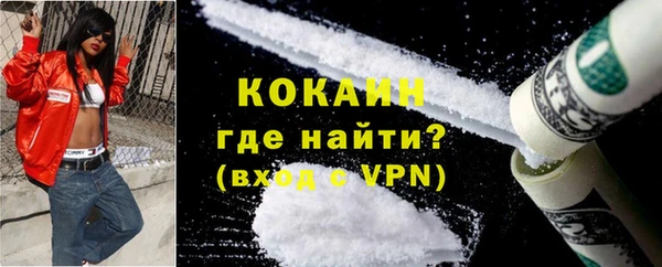 ешки Арсеньев
