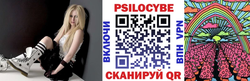 Галлюциногенные грибы Psilocybe  Урус-Мартан 